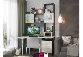 Компьютерный стол №3 с фотопечатью