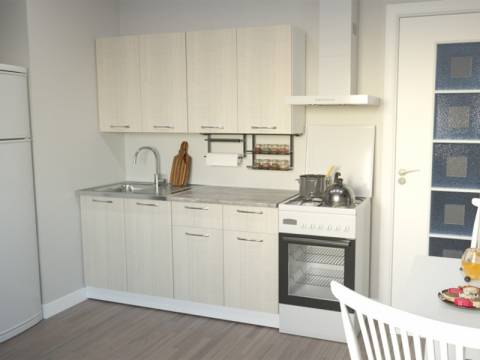 Кухонный гарнитур Лариса стандарт 2 1600 мм