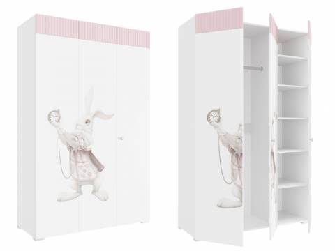 Шкаф комбинированный Алиса ПМ-332.25 исп.2 с 3 дверями