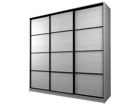 Шкаф-купе Max МШ-25-6-24/2-111