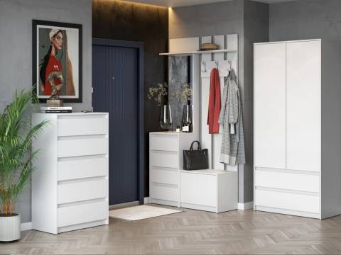 Модульная прихожая Айден