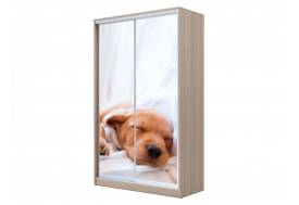 Шкаф-купе Хит 23-15-77 фото 24